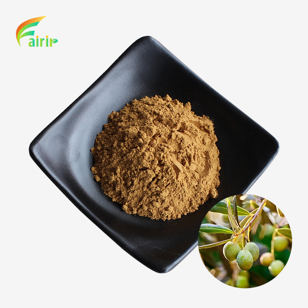 Oleuropein Powder